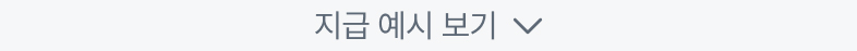 지급 예시 보기